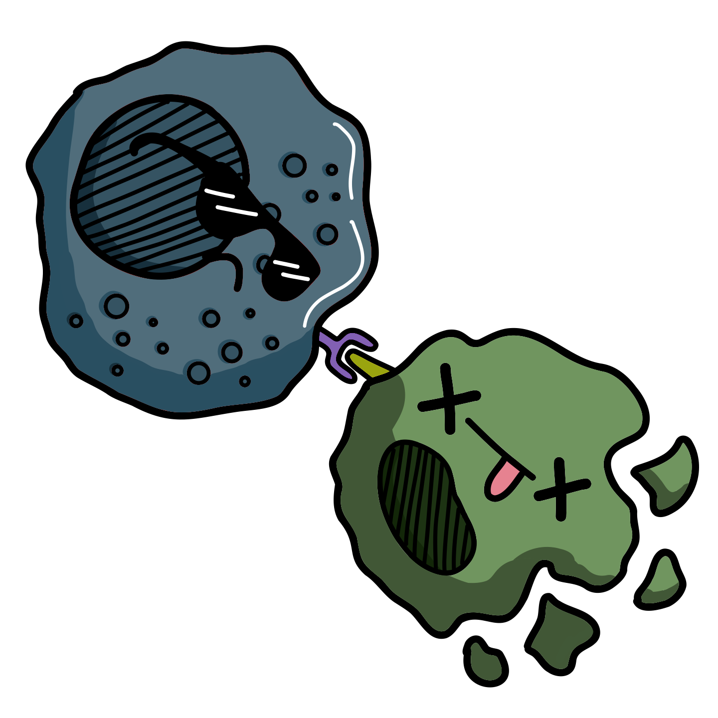 Lymphocyte T CD8+ (cytotoxique)