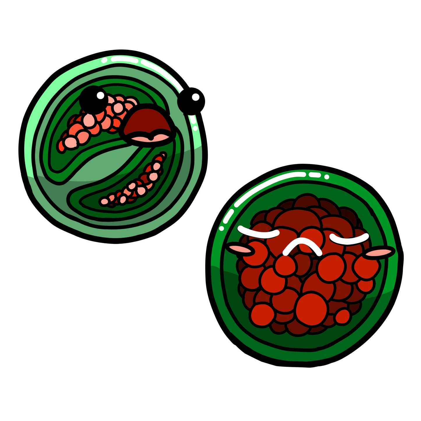 Cyclospora cayetanensis