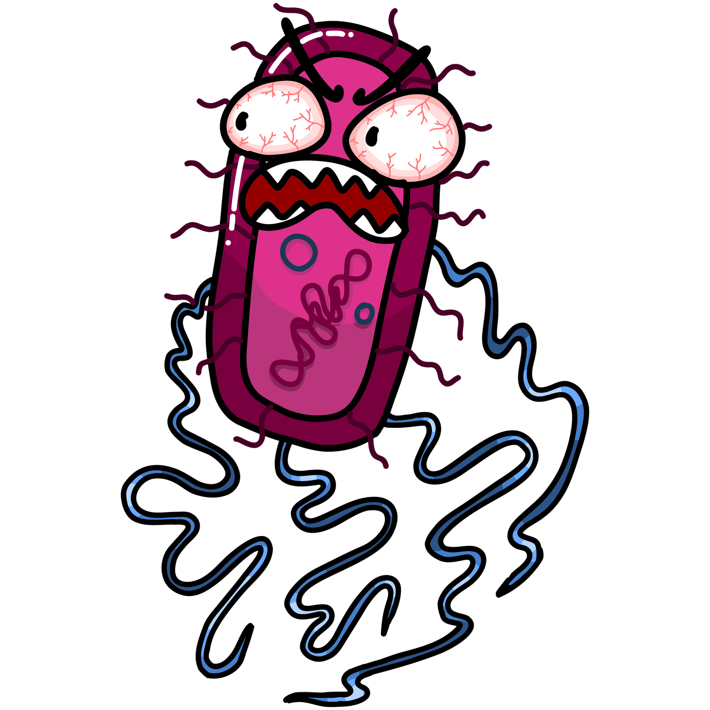 Salmonella enterica serovar Typhi
