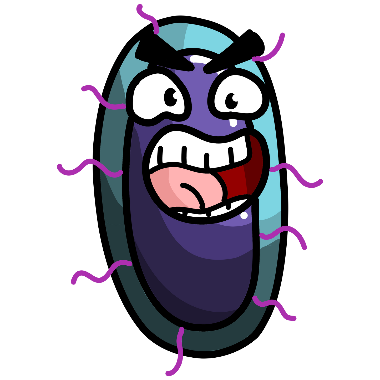 Klebsiella pneumoniae