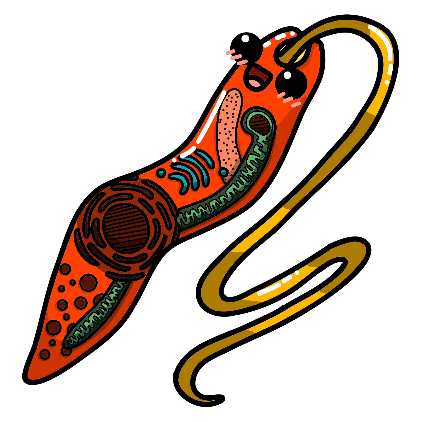 Leishmania major