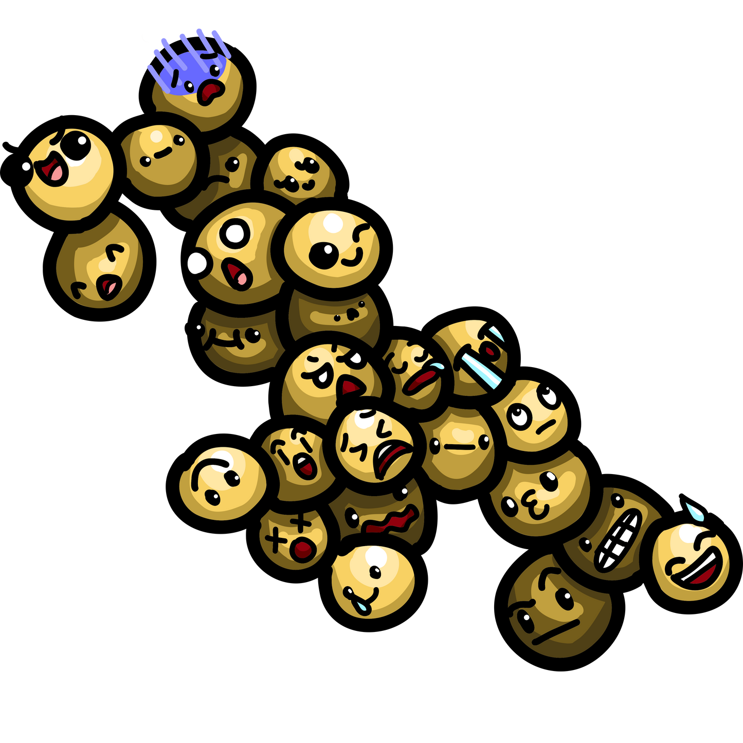 Staphylococcus aureus
