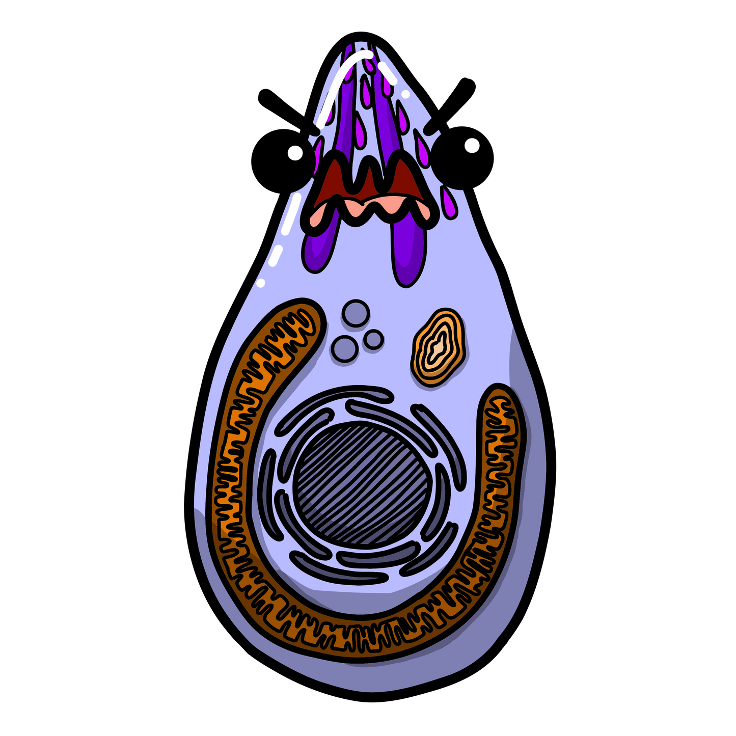Toxoplasma gondii