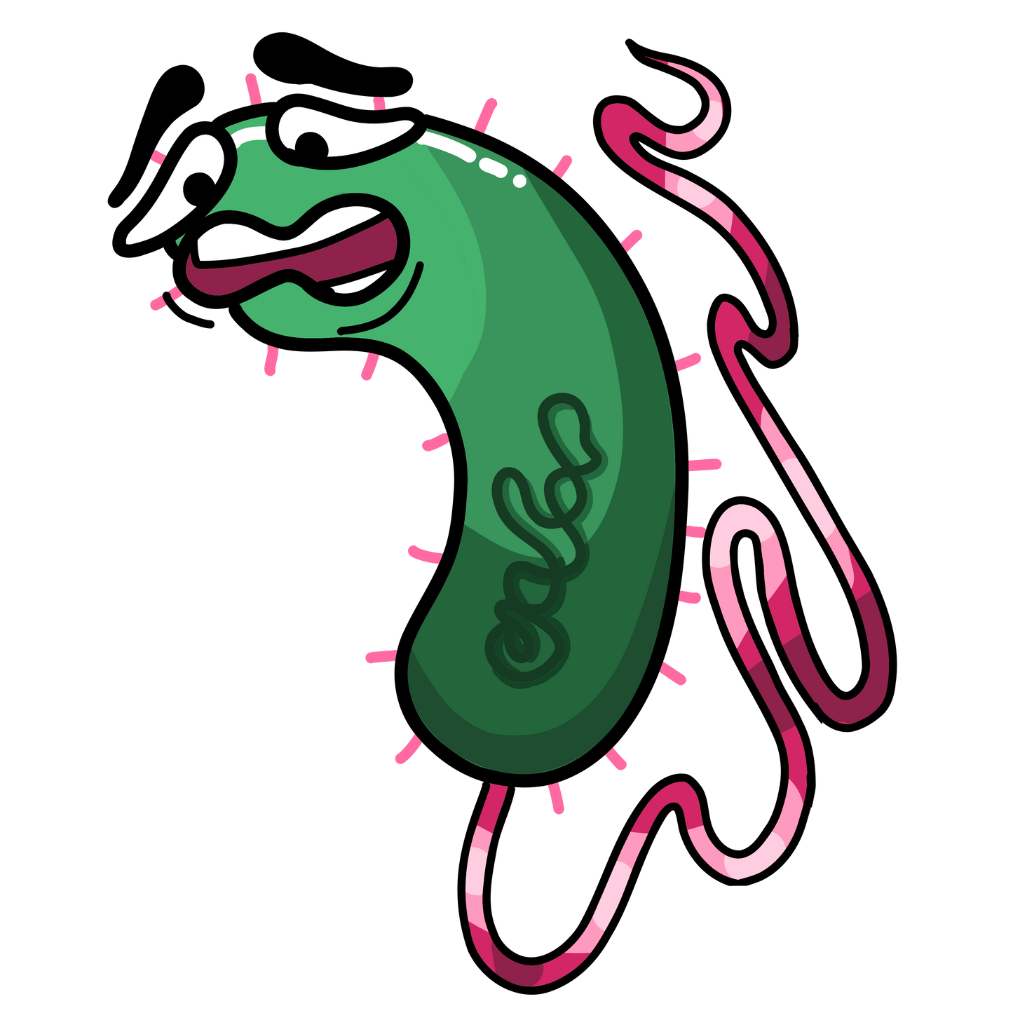 Vibrio cholerae