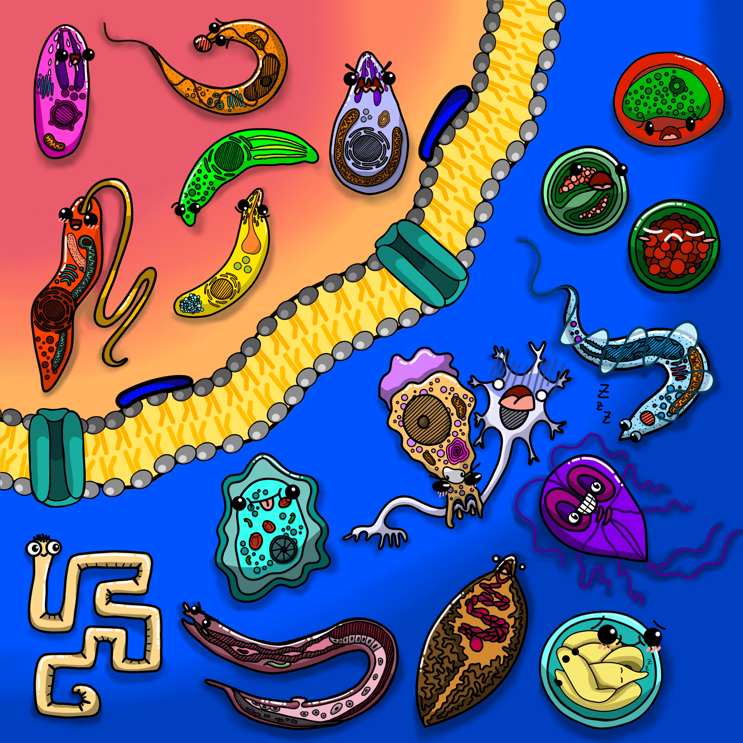 Collection : Parasites eucaryotes