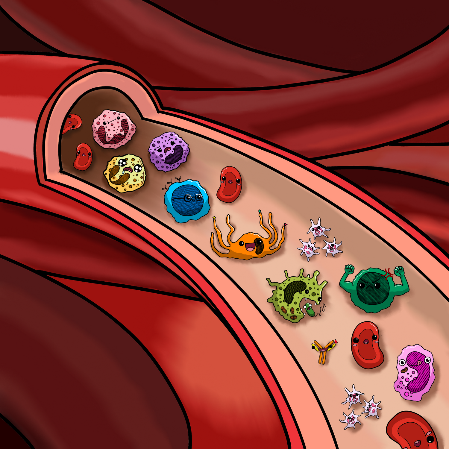 Collection : Système immunitaire et sanguin