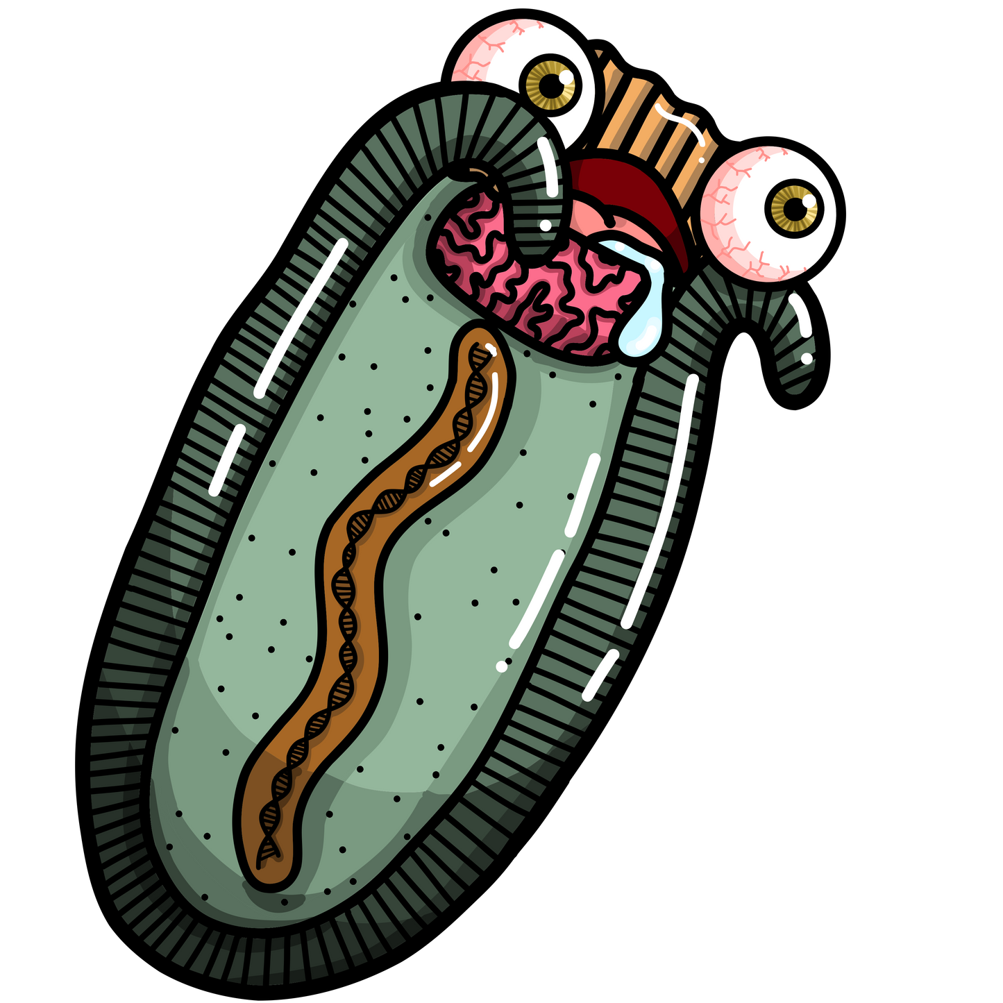 Virus Zombie Arctique (Pithovirus sibericum)
