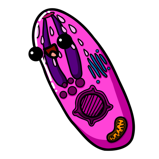 Babesia microti