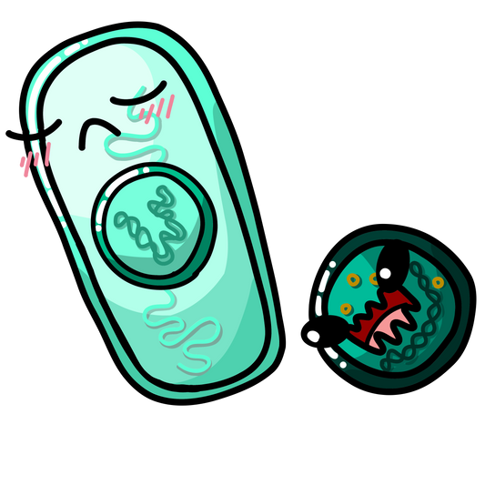 Bacillus anthracis