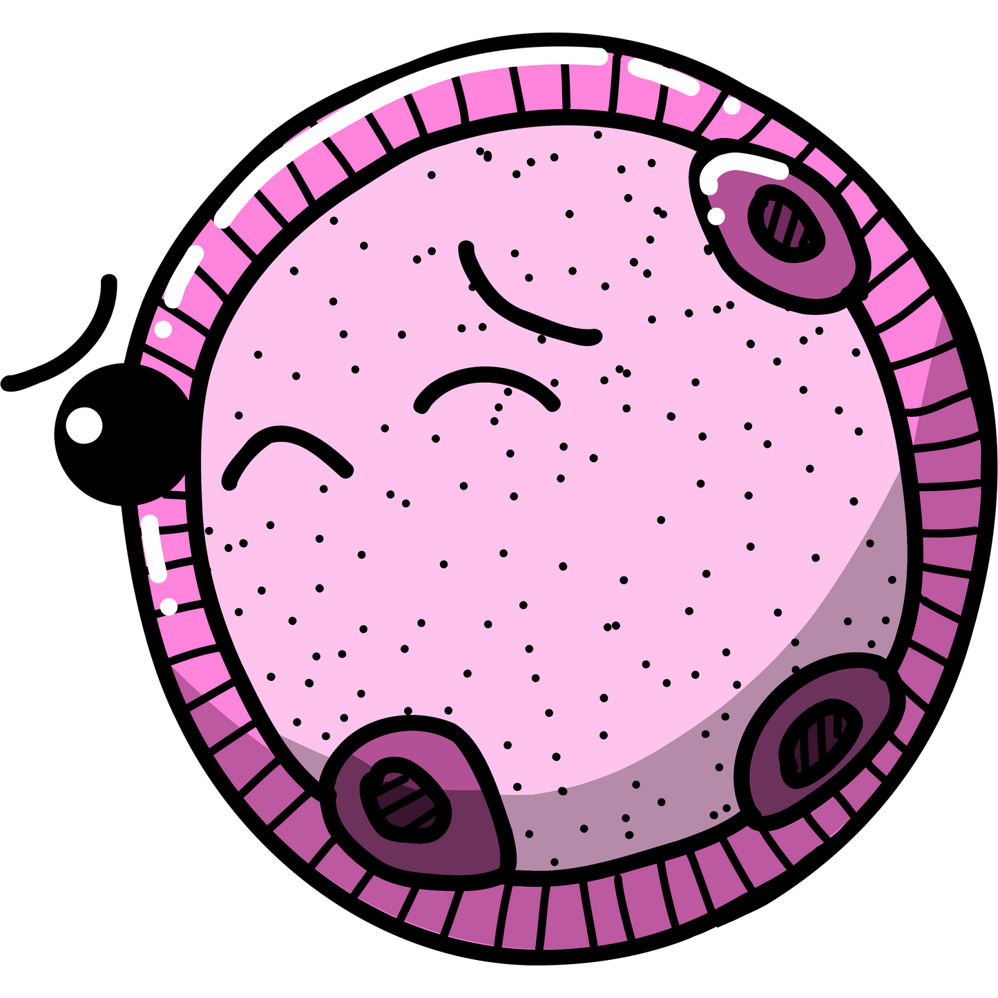 Blastocystis hominis