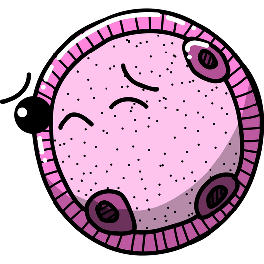 Blastocystis hominis