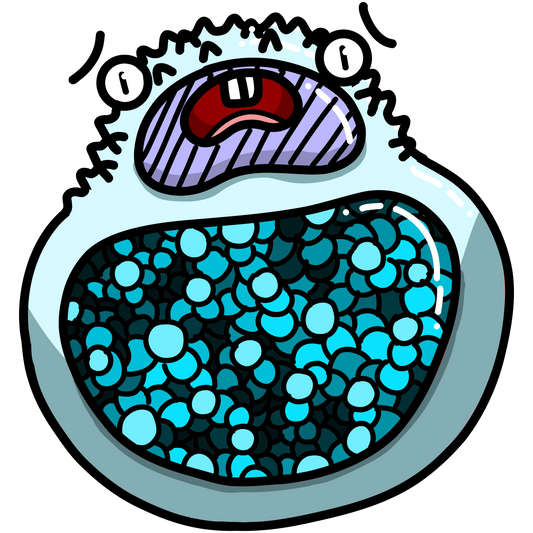 Chlamydia trachomatis