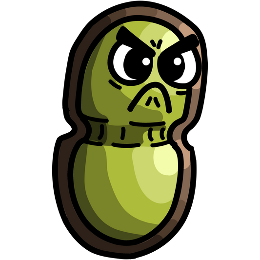 Enterococcus faecalis