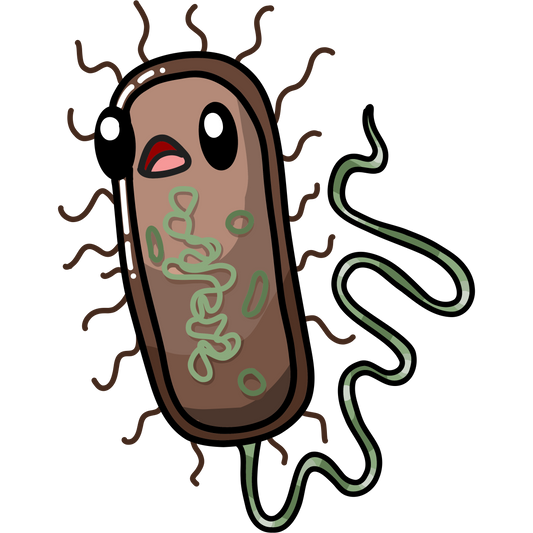 Escherichia coli