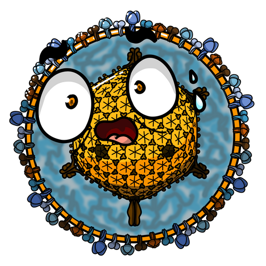 Herpes génitale