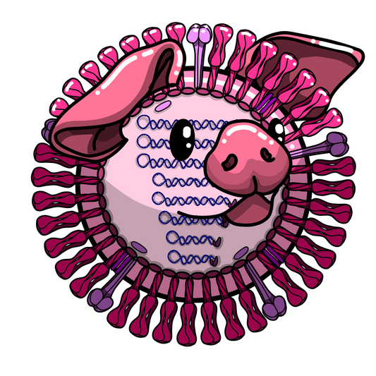 Influenza H1N1 (Porcine)