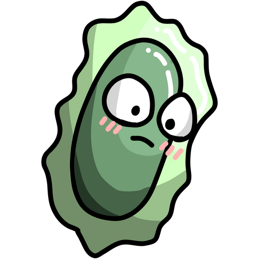 Haemophilus influenzae