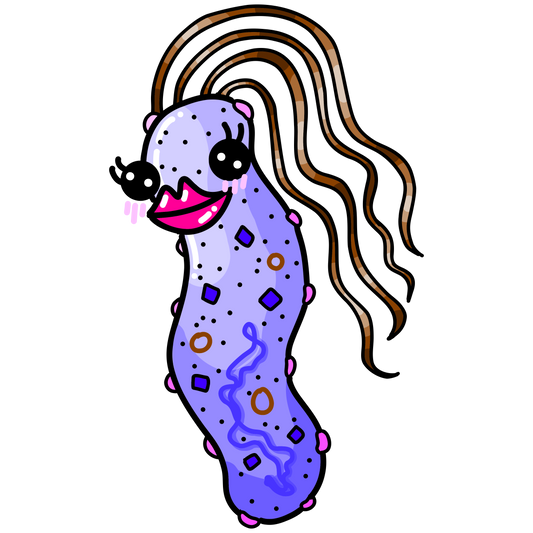 Helicobacter pylori