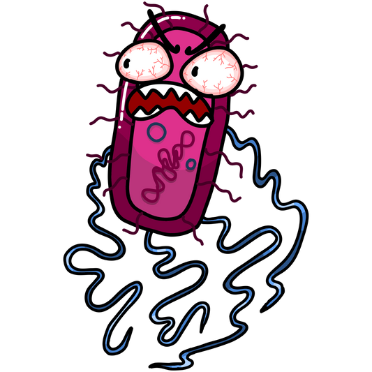 Salmonella enterica serovar Typhi