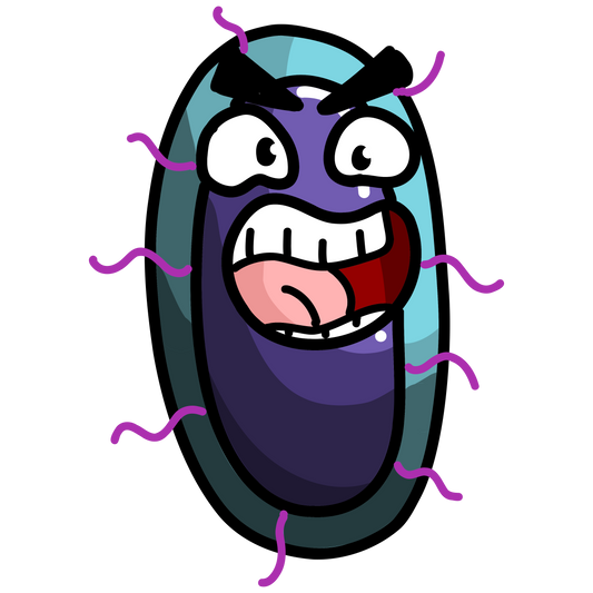 Klebsiella pneumoniae