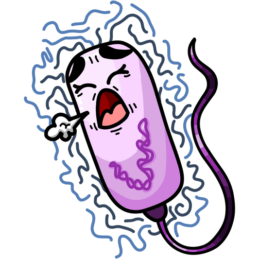 Legionella pneumophila