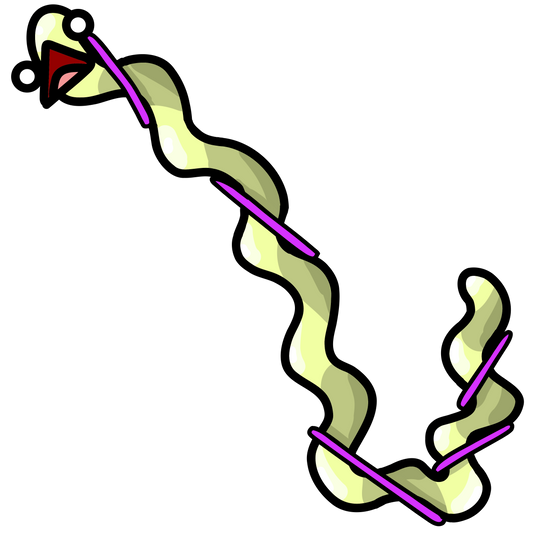 Leptospira interrogans