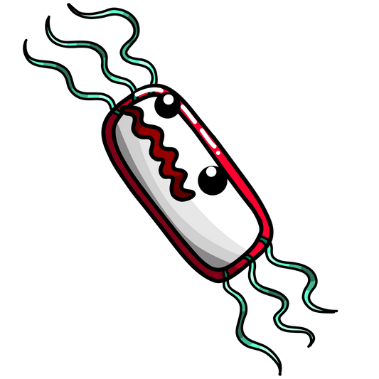 Listeria monocytogenes