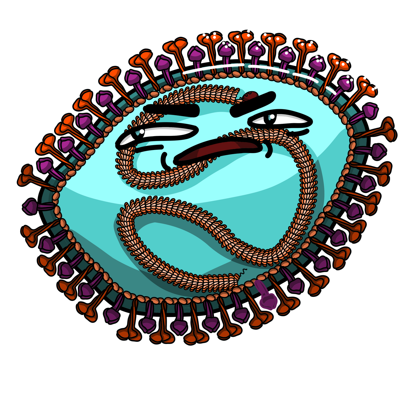 Virus de la Rougeole