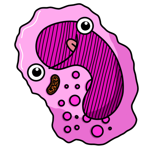 Monocyte