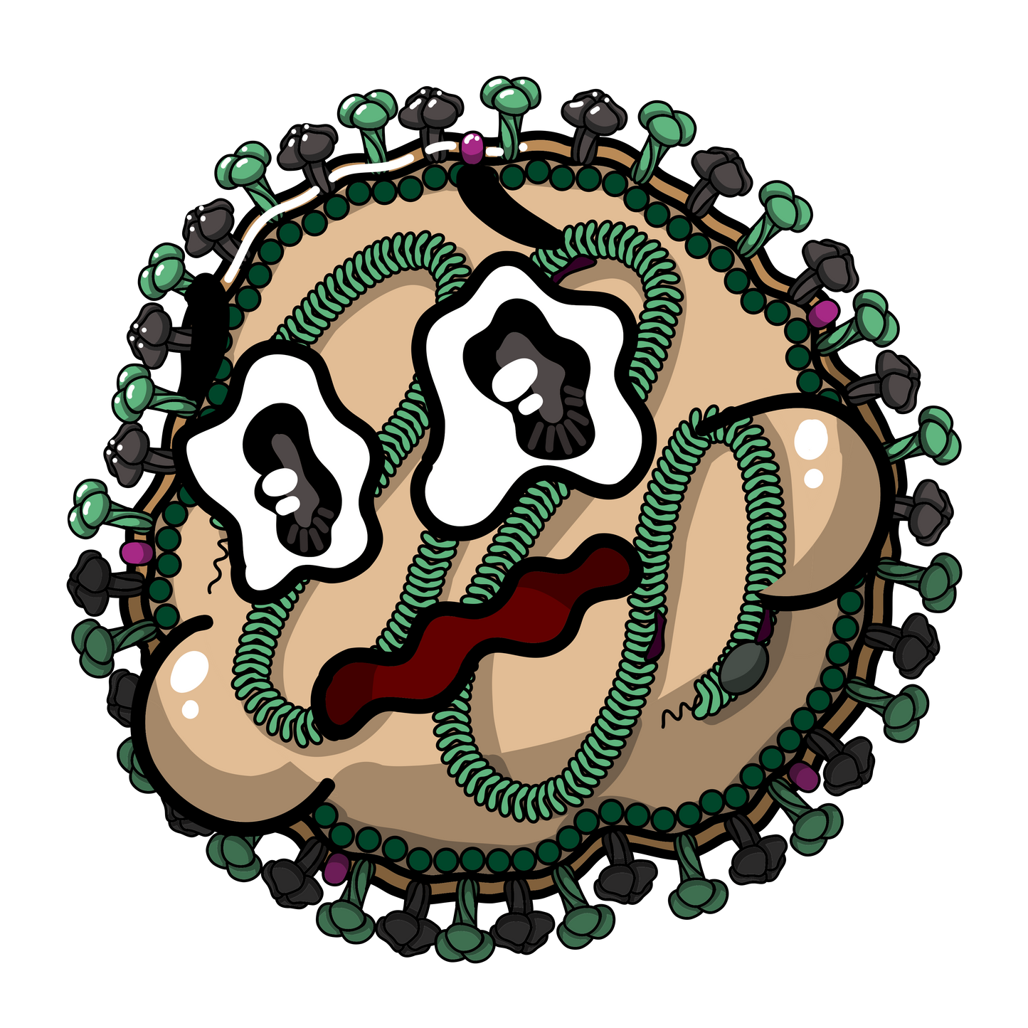 Virus des Oreillons