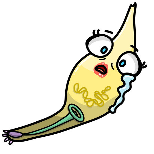 Mycoplasma pneumoniae