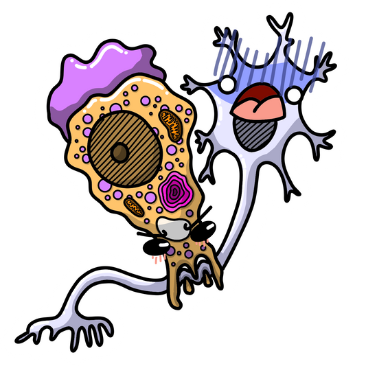 Naegleria fowleri