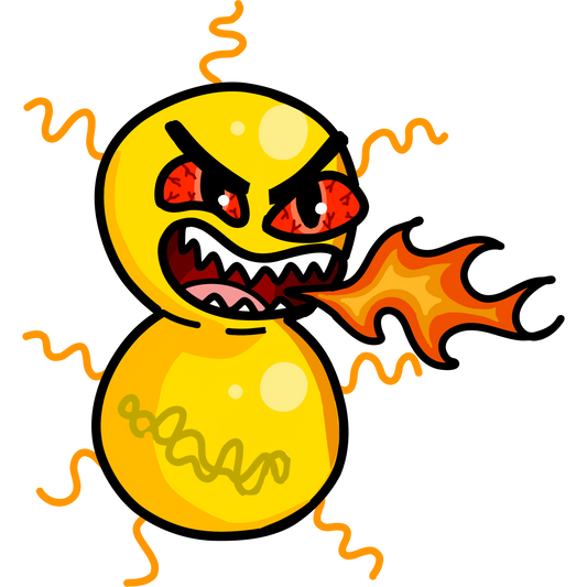 Neisseria gonorrhoeae
