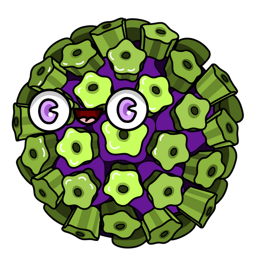 Papovavirus