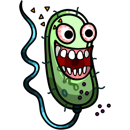 Pseudomonas aeruginosa