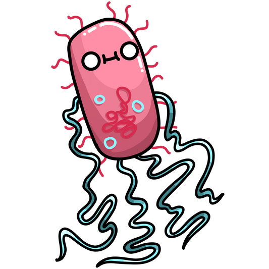 Salmonella enterica serovar Typhimurium