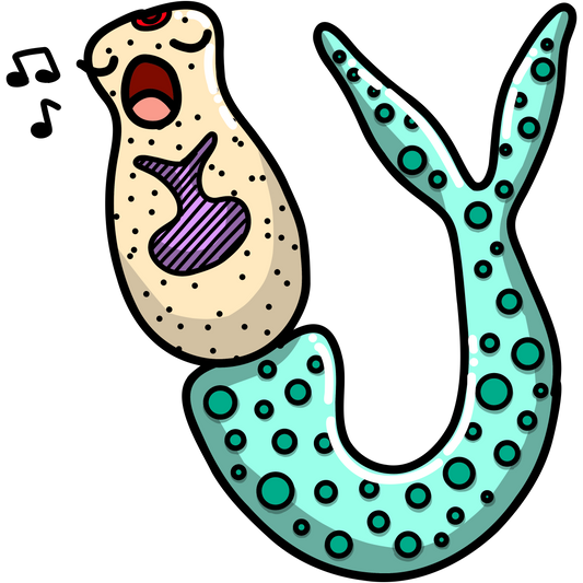 Schistosoma mansoni