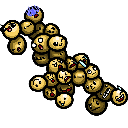 Staphylococcus aureus