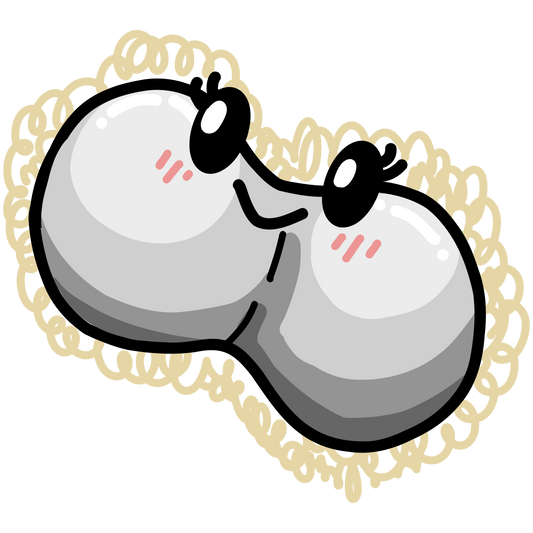 Streptococcus mutans