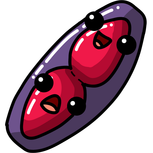 Streptococcus pneumoniae