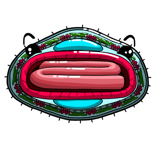 Variole
