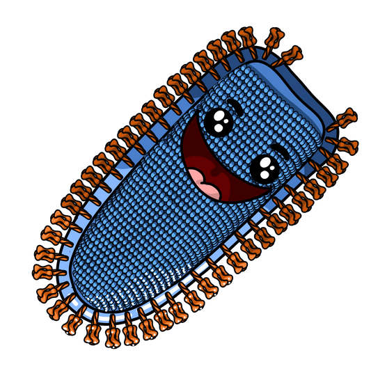 Virus de la Stomatite Vésiculeuse (VSV)